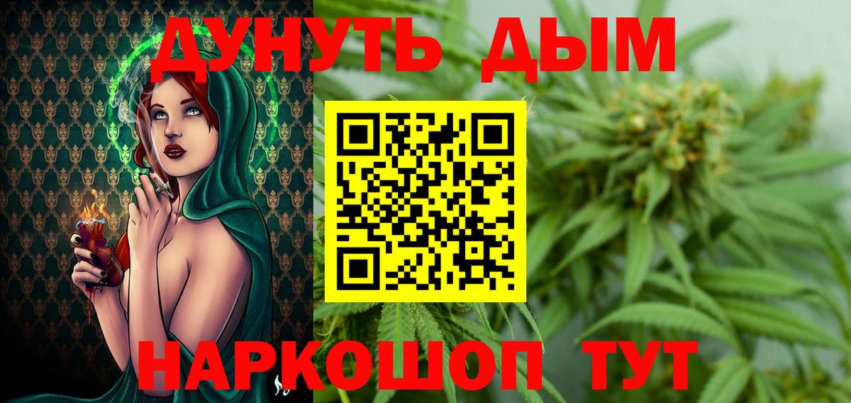 Канабис сатива Баксан